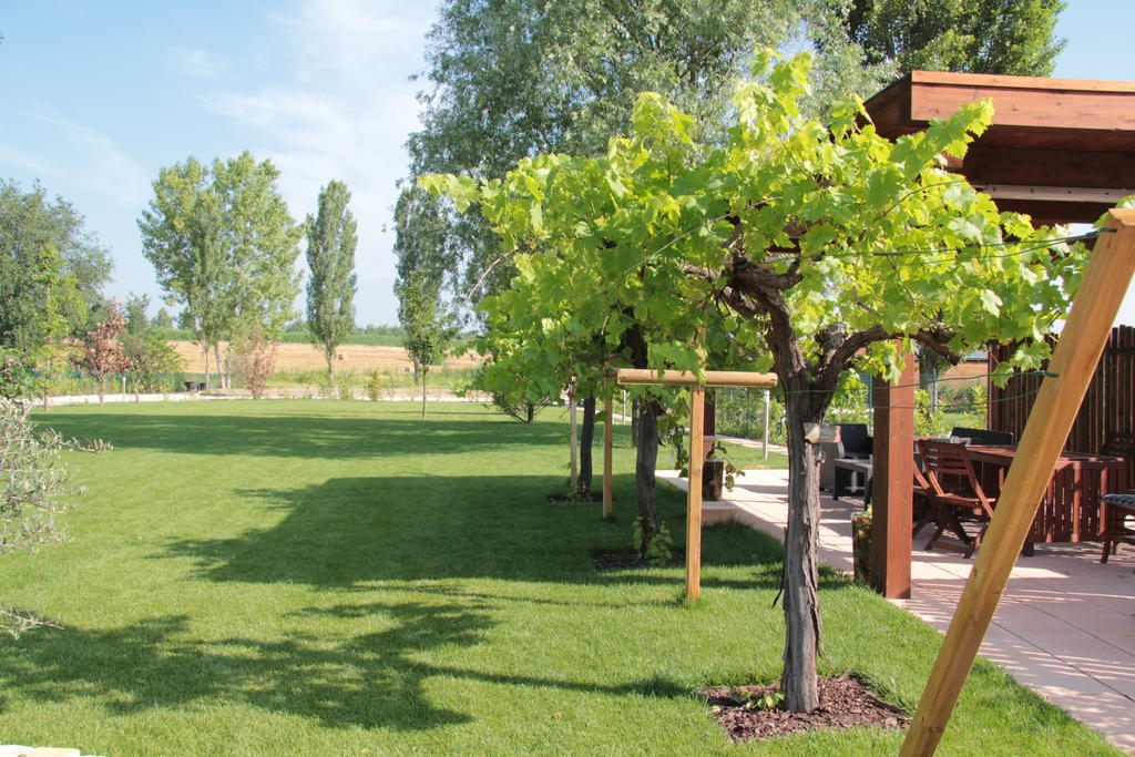 Conte Pietro Room&Breakfast Ferrara Exterior photo